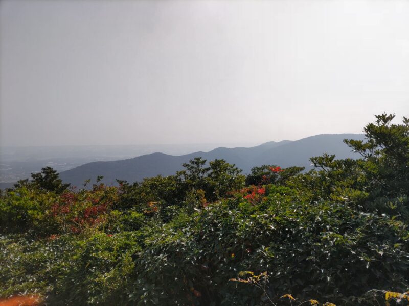 衣笠山からの展望