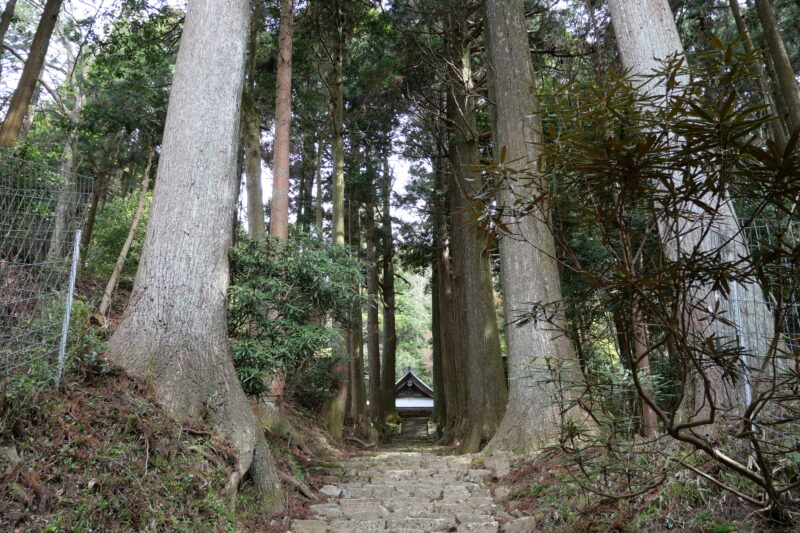 善福寺参道