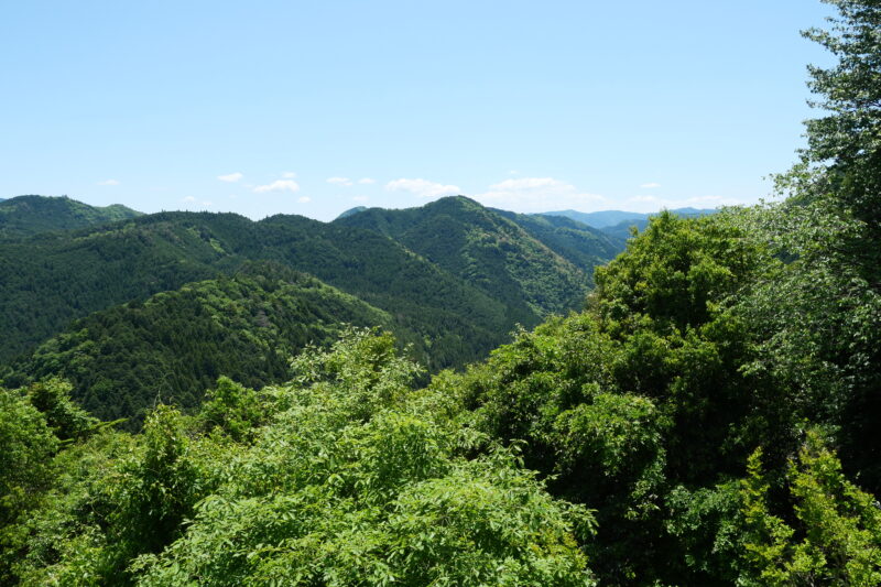 田峯城物見台から