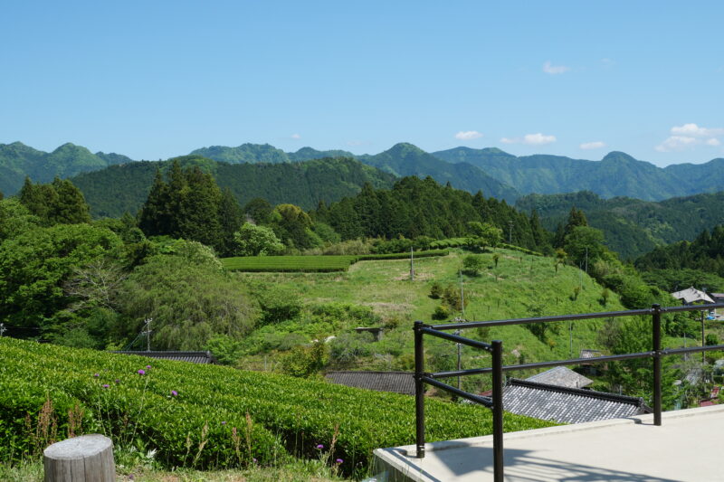 だみねテラスで青空ランチ