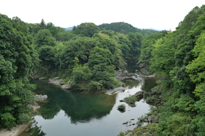 牛渕橋より望む長篠城址