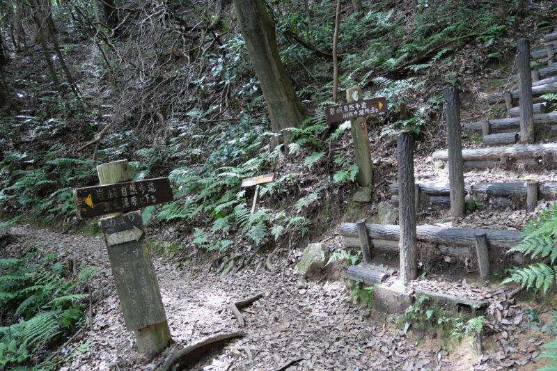 階段下分岐（東山へは右手の擬木階段を上りきり二川方面へ向かう）