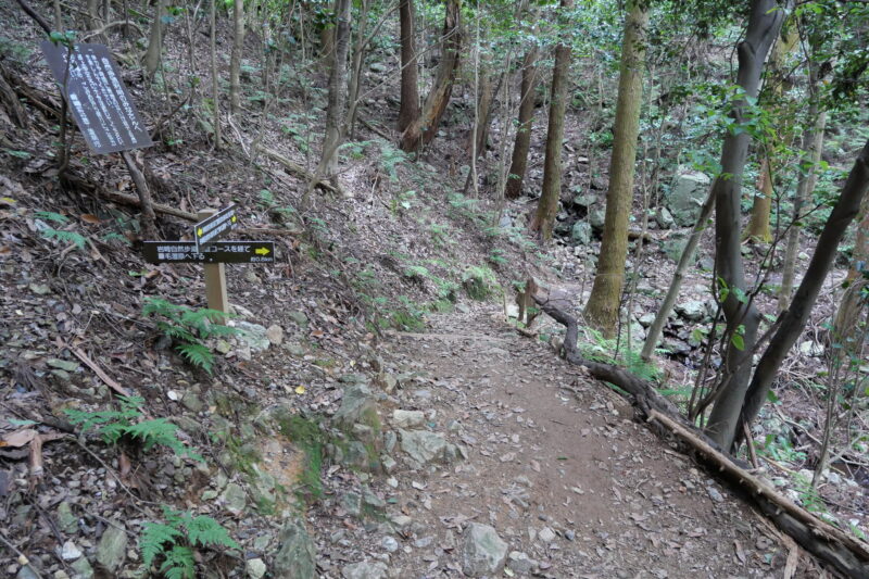 葦毛湿原へ下る分岐