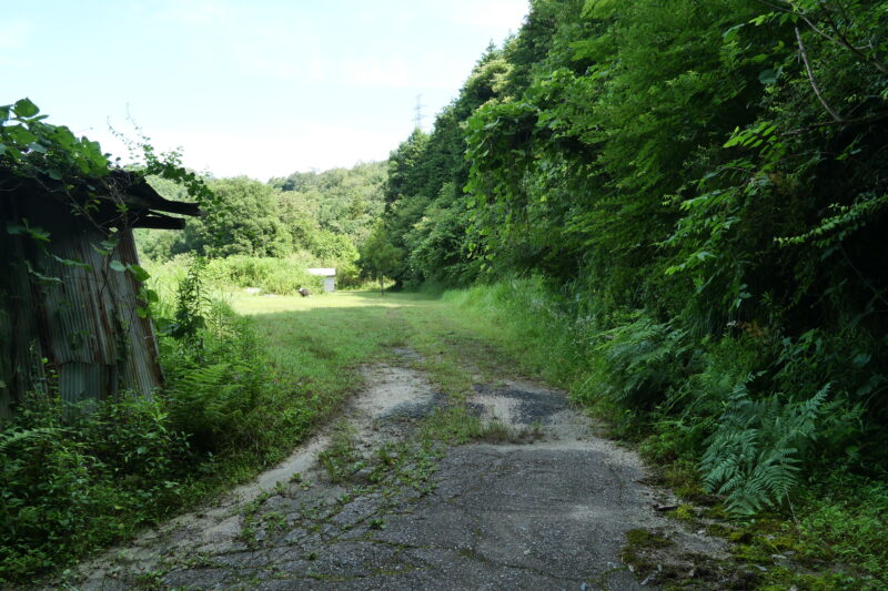 草地右奥へ進むと登山口