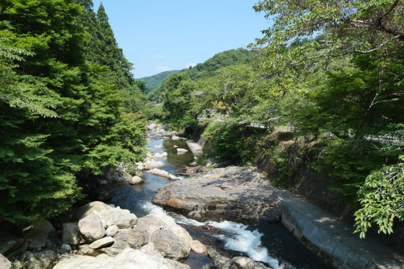 夏の緑の紅葉かおれ渓谷