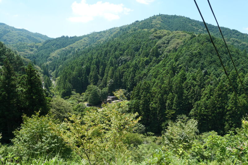 送電線下から草地を下ります