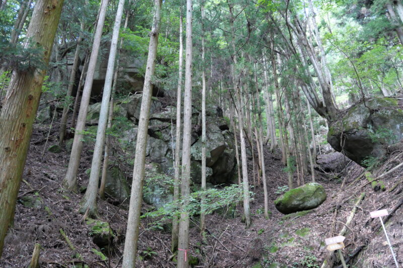 馬野の巨石