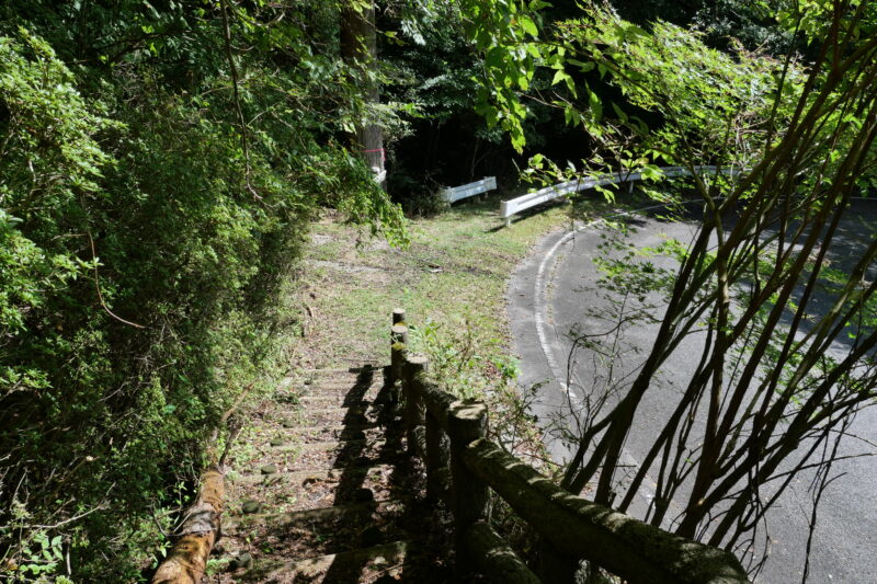 自然歩道を下ると車道脇に出る