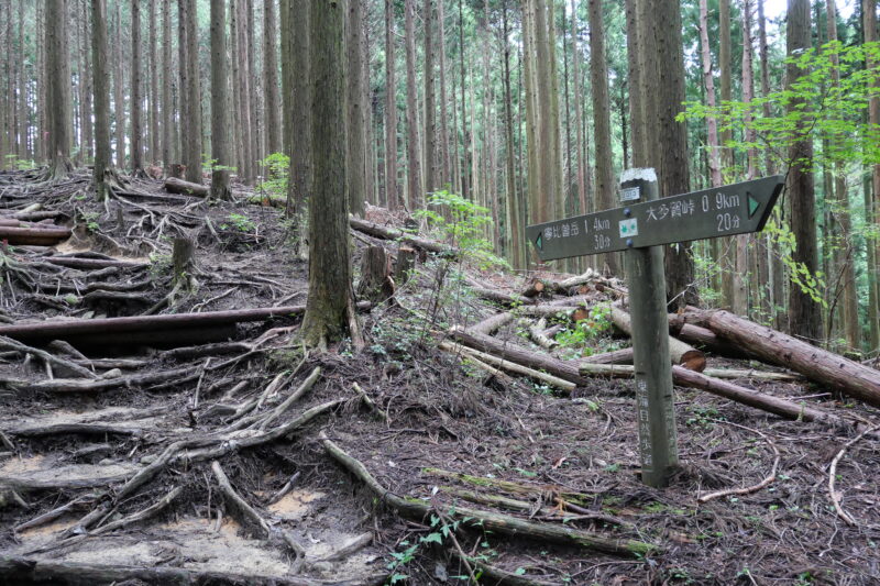 寧比曽岳まで１．４ｋｍ３０分の道標