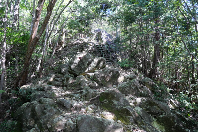 滝尾根分岐への登り