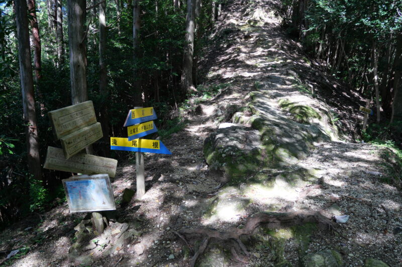 滝尾根分岐（帰路はここから下山する）