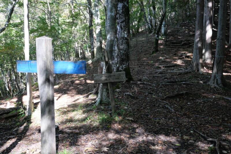 天狗棚山頂・面ノ木園地分岐