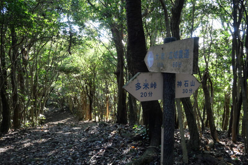 大岩・広域農道分岐