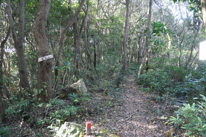 藤尾山への分岐