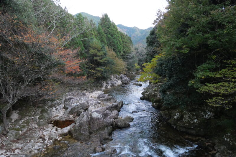 日の落ちる前に帰ってきた