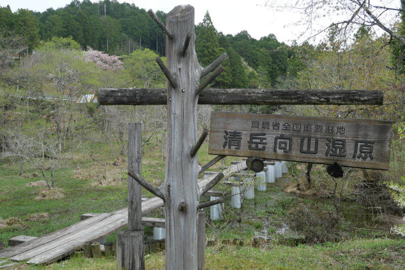 清岳向山湿原