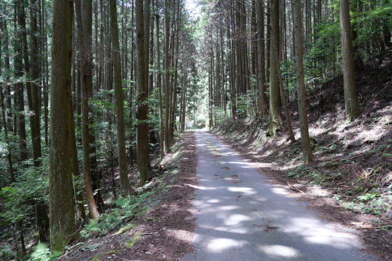 三河湖南岸道路