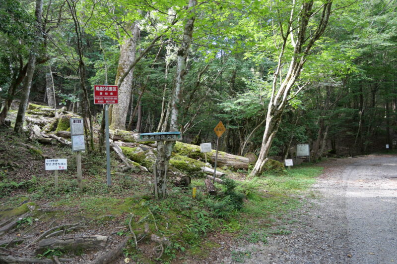 「多くの木が観察できる平坦なコース」入口