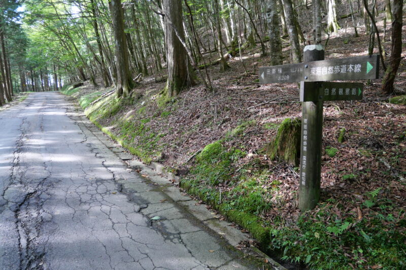 「自然観察路」にはいる