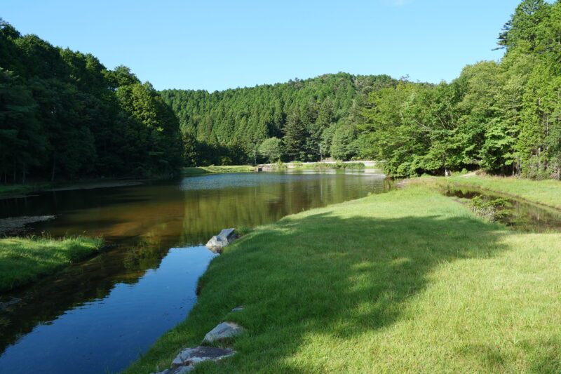 段戸湖（休憩所広場より）