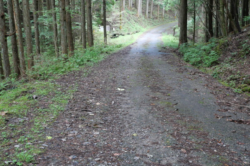 荒れ地も得意です