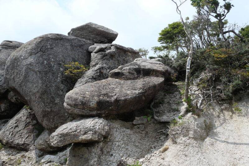 ナマズ岩