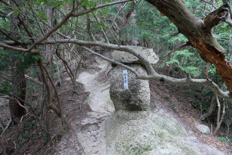 松茸岩