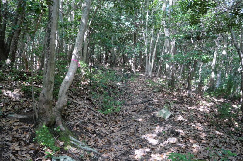 国見尾根出だし