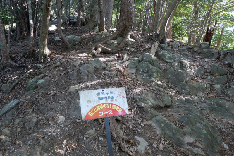 境界尾根へは看板の裏手へ直登する