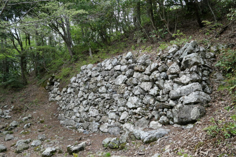 山王丸の大石垣