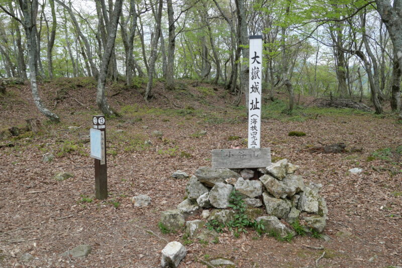 大嶽城跡