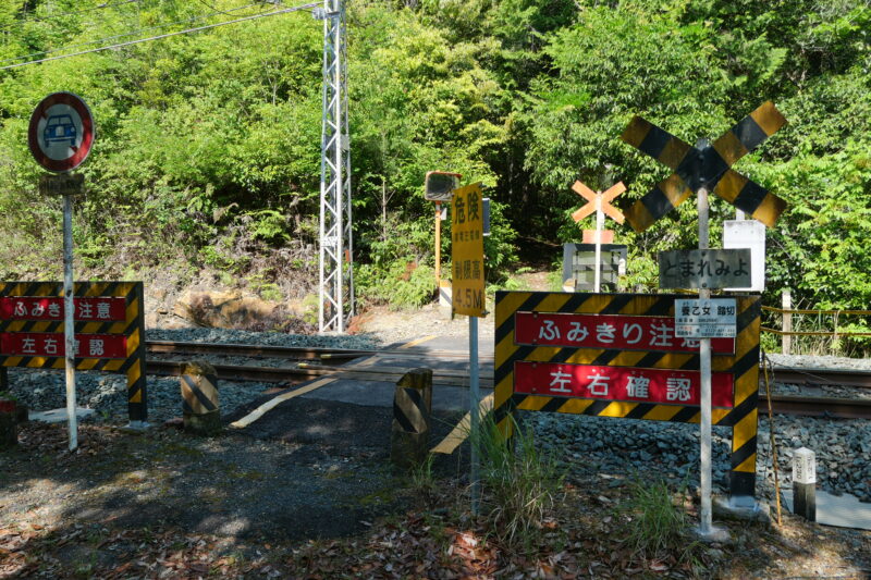 養乙女踏切を渡って入山する