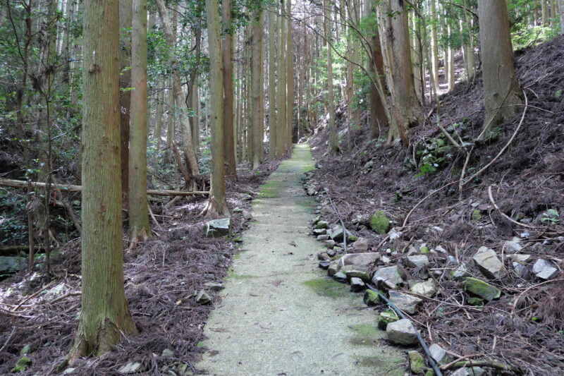 寸五郎坂を上る