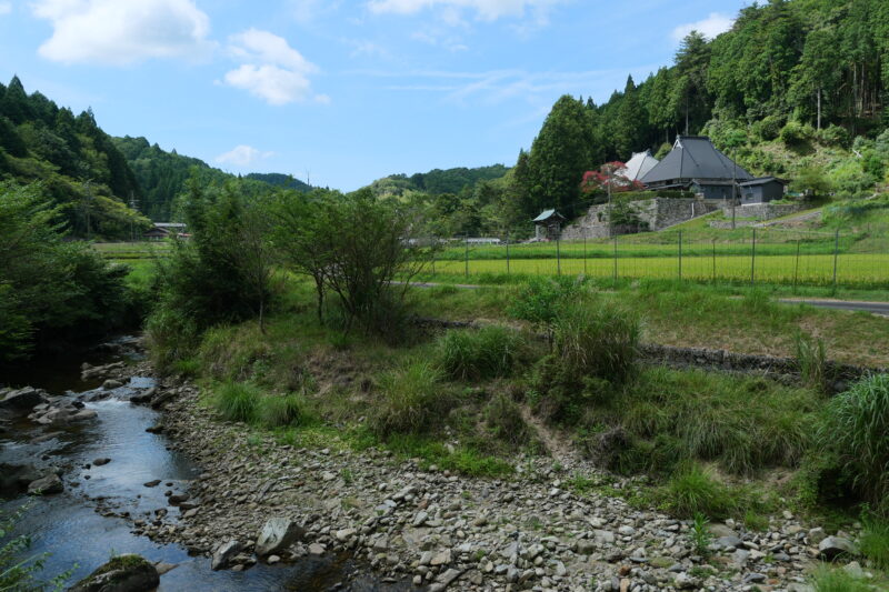 乙川と東向寺