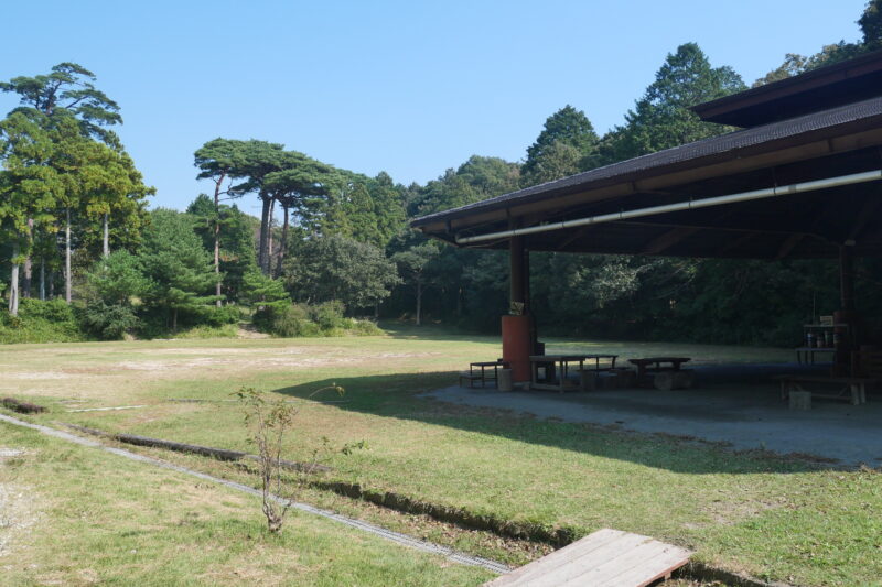 さがらの森